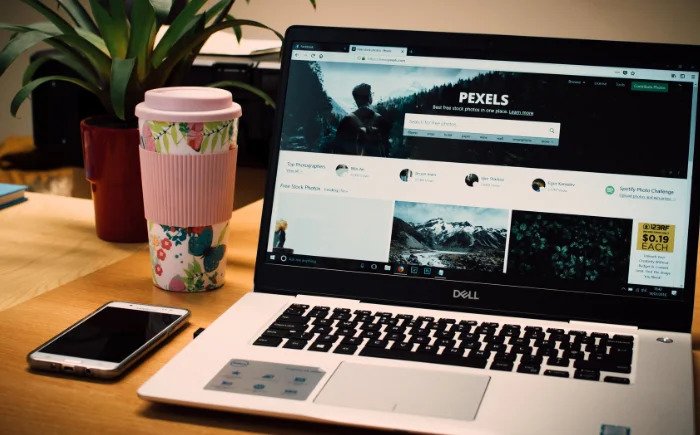 Website Development Company in Mysore